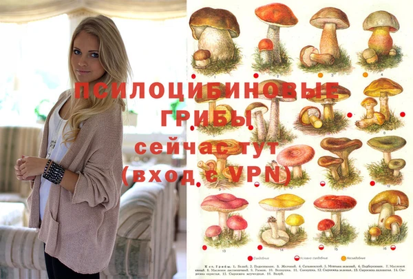 синтетический гашиш Вязники